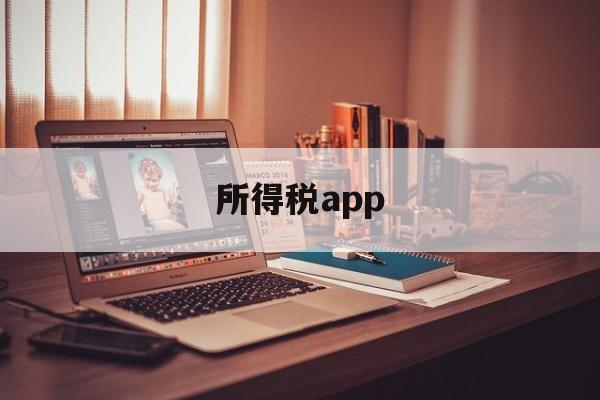 所得税app(所得税app下载)